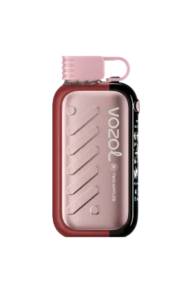 VitalZone GEAR 50000 portable Device Ice Ssweet E Cigarette Two Apples